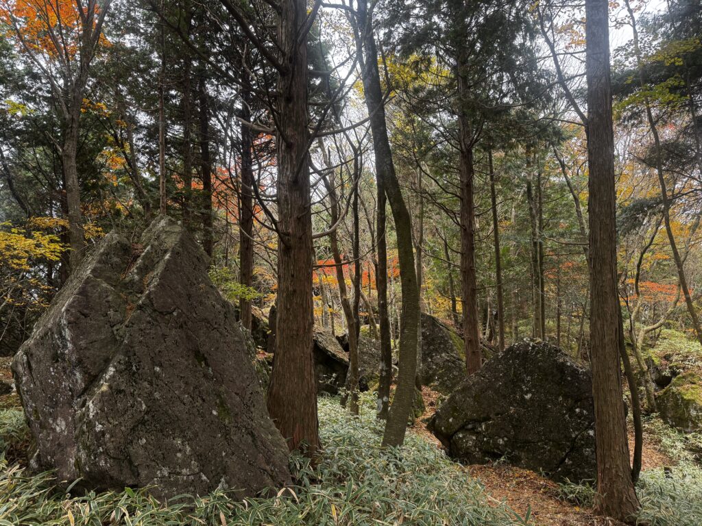 ペトログラフ